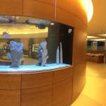 Waikiki Aquarium Service