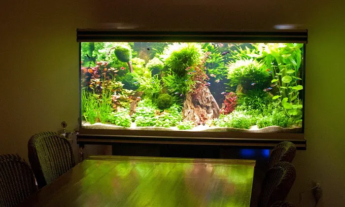 Waikiki Aquarium Service Picture 5