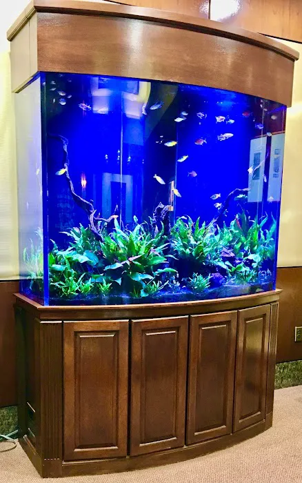 Waikiki Aquarium Service Picture 9