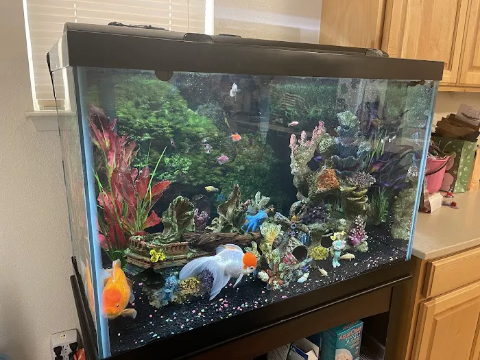 Waikiki Aquarium Service Picture 3