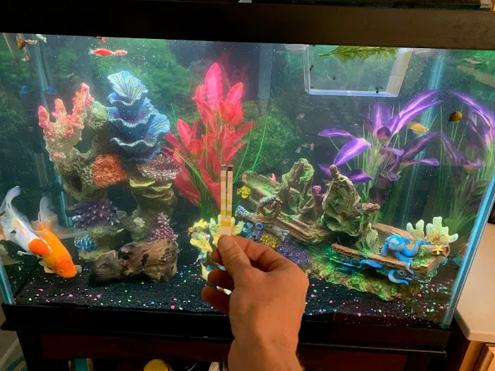 Waikiki Aquarium Service Picture 2