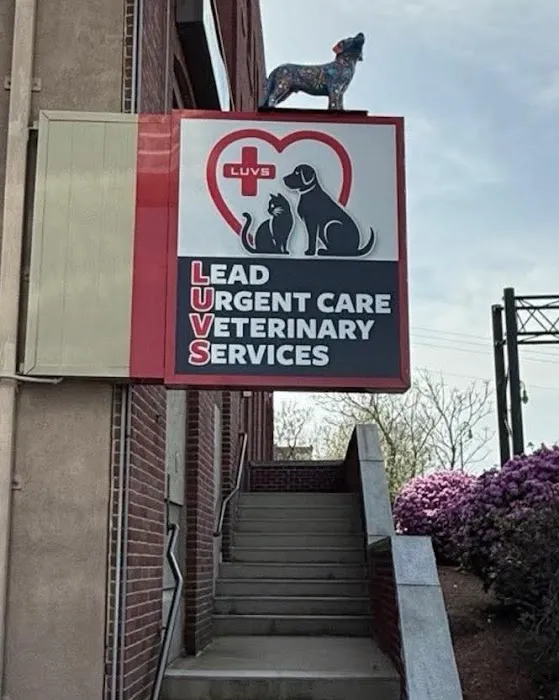 Lead Urgent Care Veterinary Services Picture 7