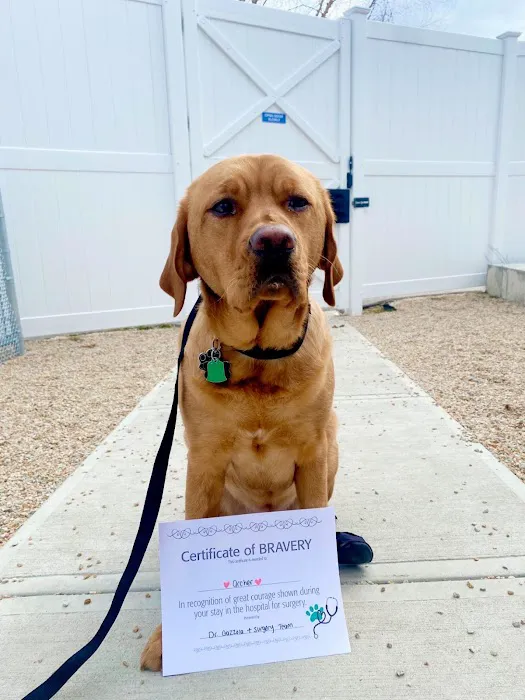 VCA Capital Area Veterinary Emergency and Specialty Picture 8