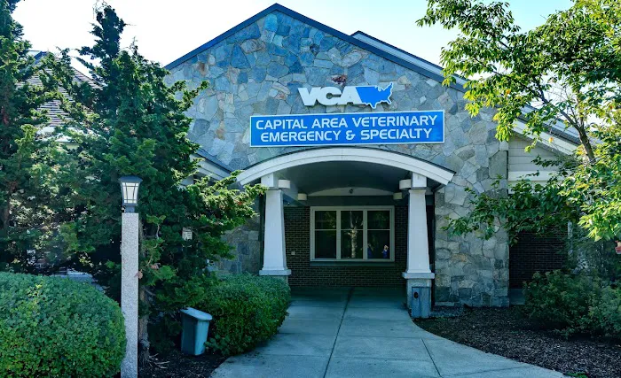 VCA Capital Area Veterinary Emergency and Specialty Picture 6
