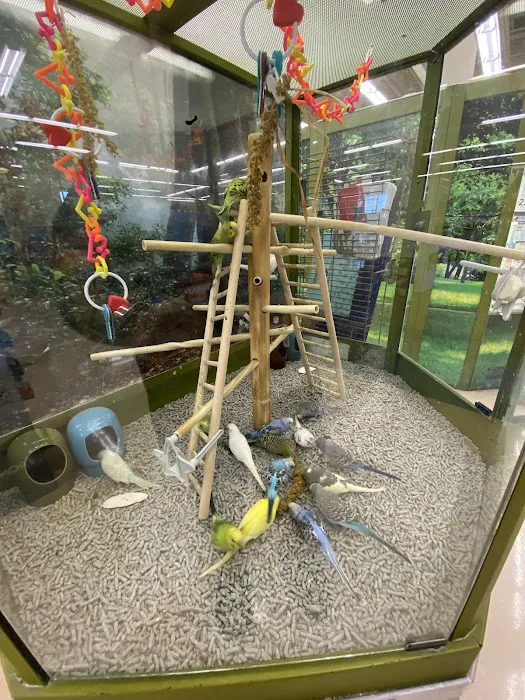 Petco Picture 3
