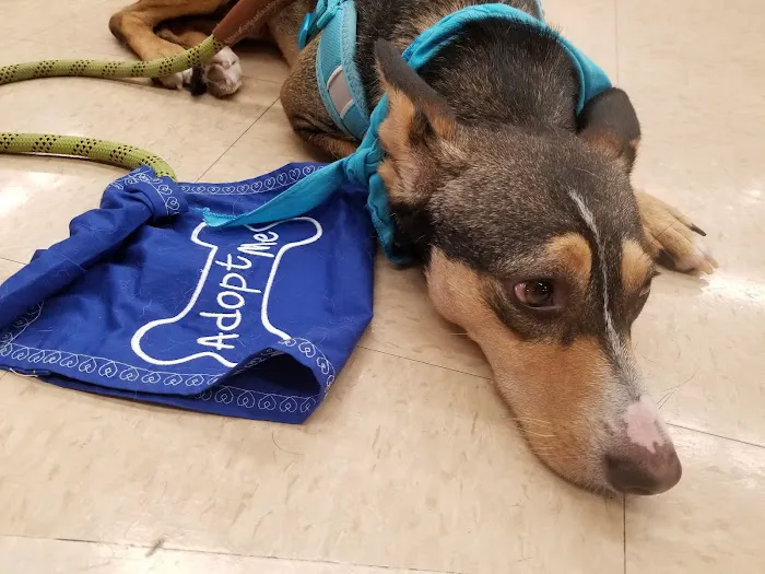 Petco Picture 8