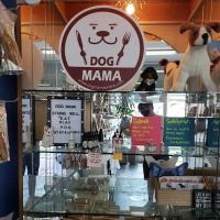 Dogmama808 ico