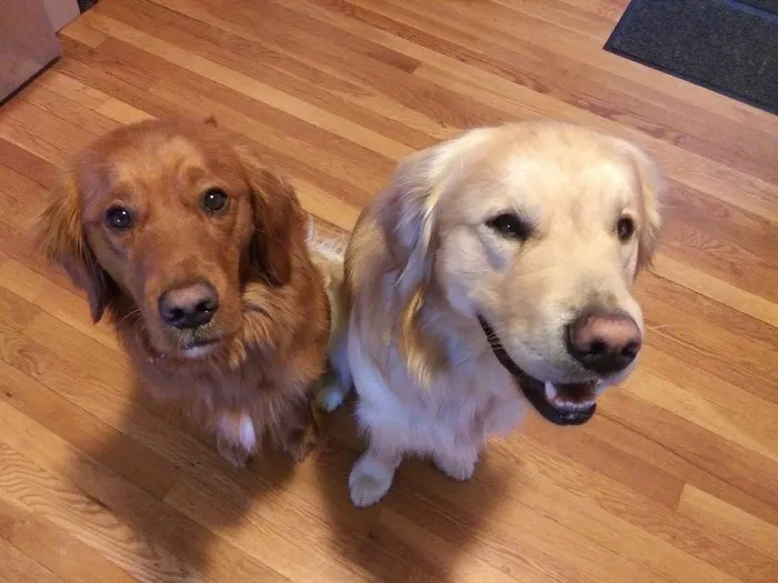 Northside Animal Hospital Picture 9