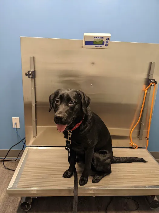 Northside Animal Hospital Picture 7