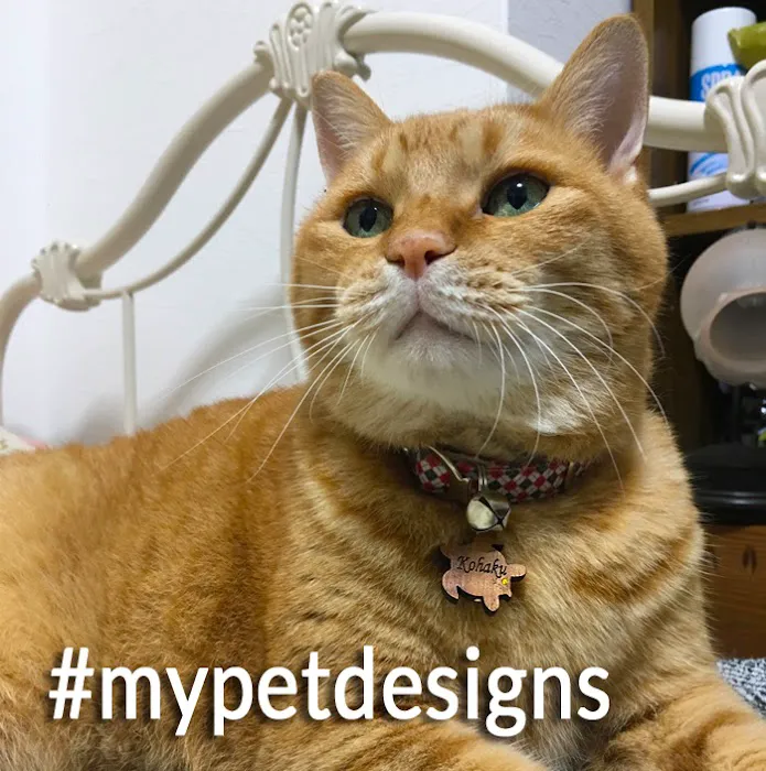 MY PET DESIGNS Picture 10