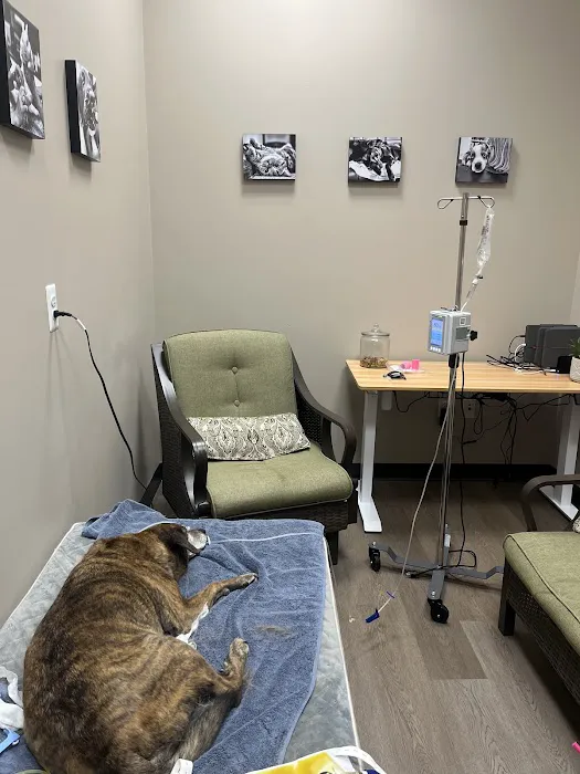 Best Friends Animal Hospital Picture 2