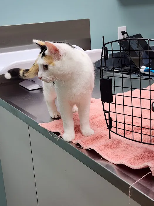 Manchester Animal Hospital Picture 9
