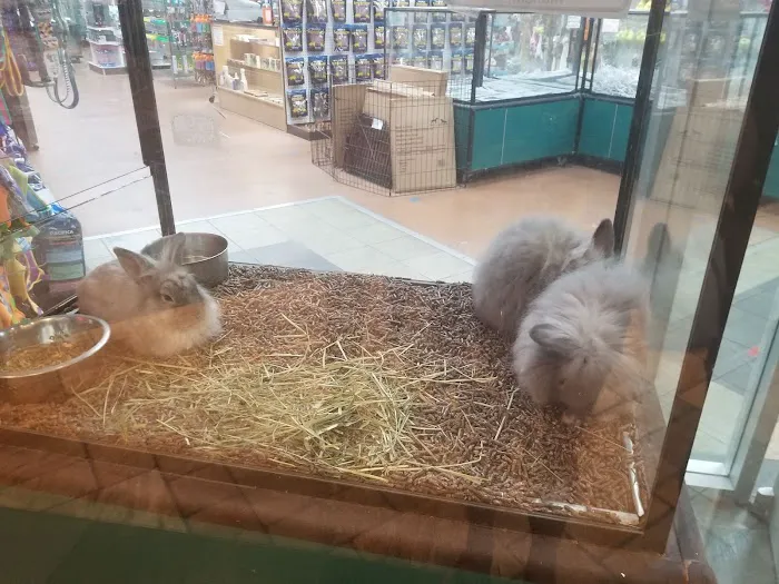 Koolau Pets Plants & Ponds Picture 3