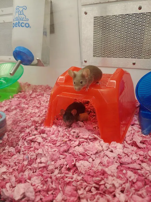 Petco Picture 6