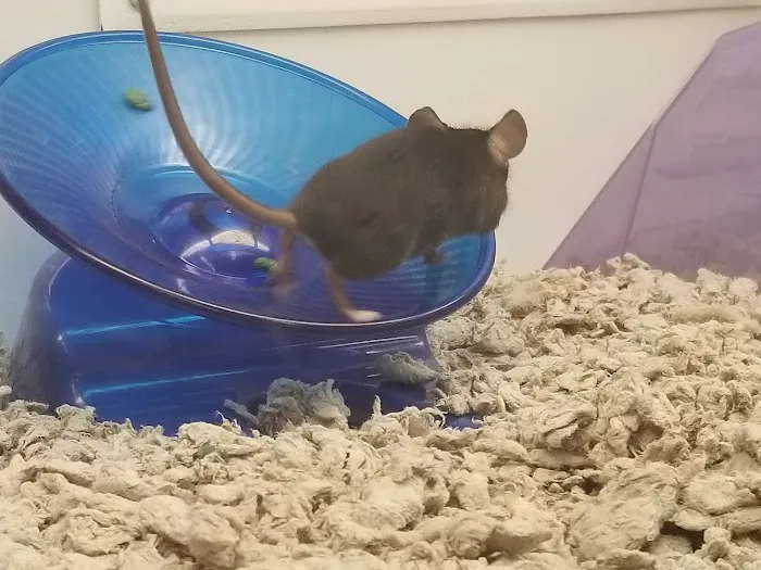 Petco Picture 8