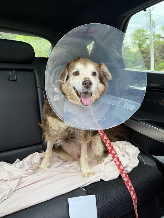 Veterinary Emergency Center of Manchester Picture 6