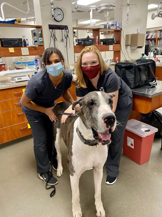 Veterinary Emergency Center of Manchester Picture 7