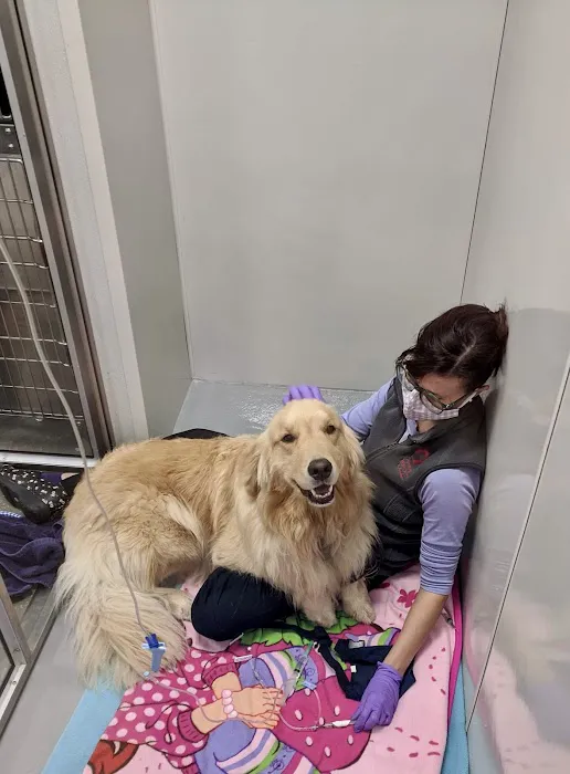 Veterinary Emergency Center of Manchester Picture 5