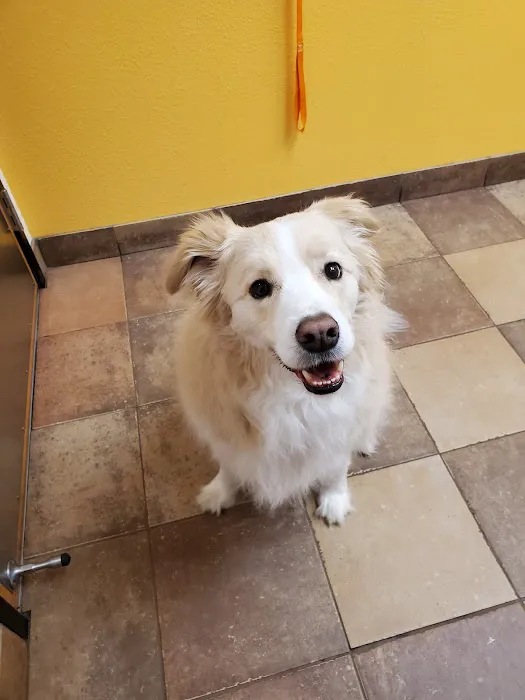 Banfield Pet Hospital Picture 10