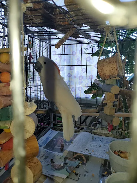Petco Picture 4