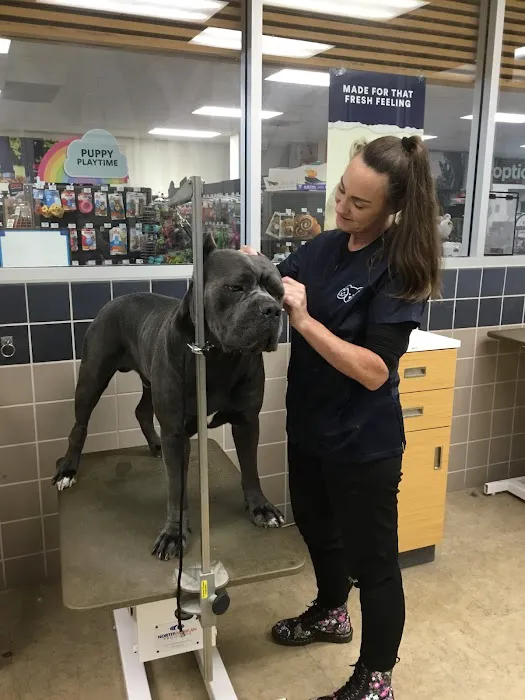 Petco Picture 7