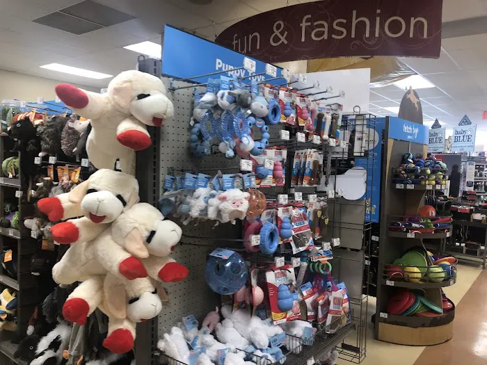 Petco Picture 3