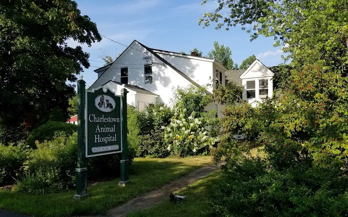 Charlestown Animal Hospital Picture 5