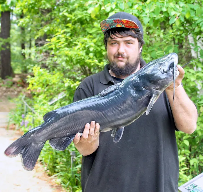 Charlestown Animal Hospital Picture 9