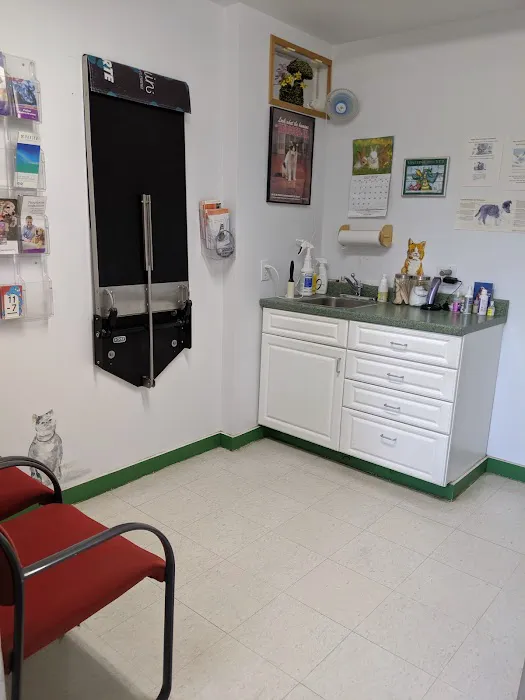 Charlestown Animal Hospital Picture 7