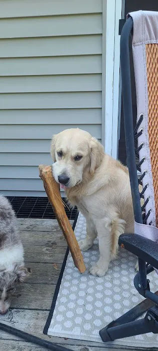 Charlestown Animal Hospital Picture 6