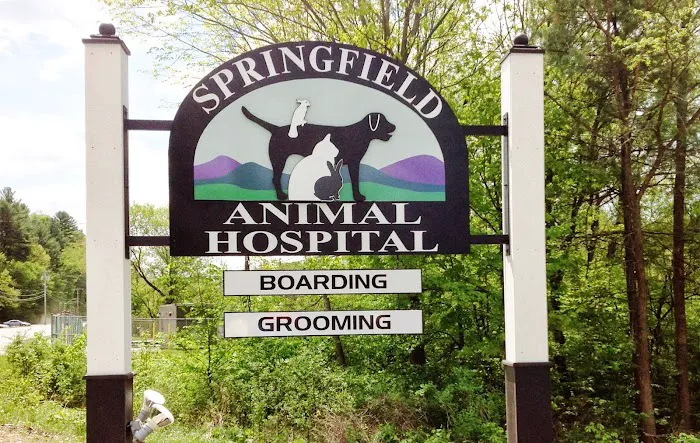 Springfield Animal Hospital Picture 1