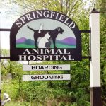 Springfield Animal Hospital