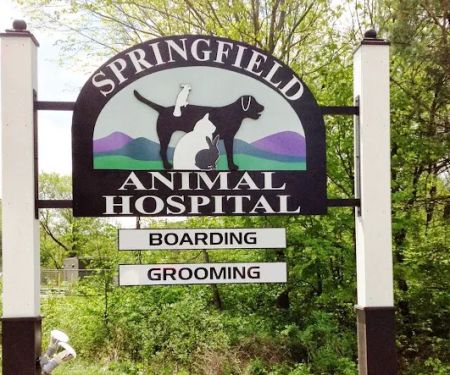 Springfield Animal Hospital