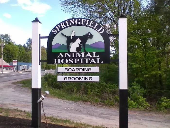 Springfield Animal Hospital Picture 6