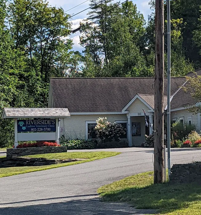Riverside's Ludlow Veterinary Clinic Picture 1