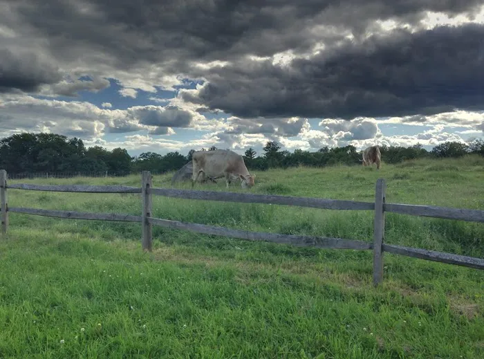 Clover Acres Livestock Veterinary Services Picture 4
