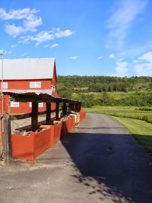 Clover Acres Livestock Veterinary Services Picture 2