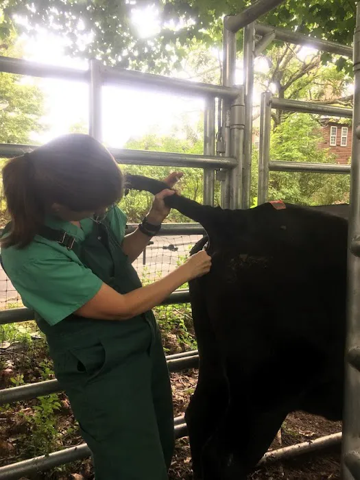 Clover Acres Livestock Veterinary Services Picture 1