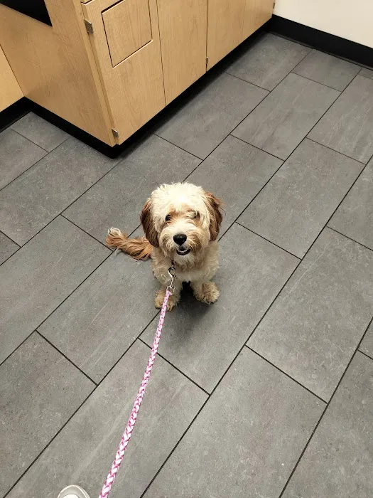 Banfield Pet Hospital Picture 1
