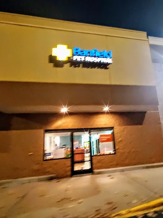 Banfield Pet Hospital Picture 10