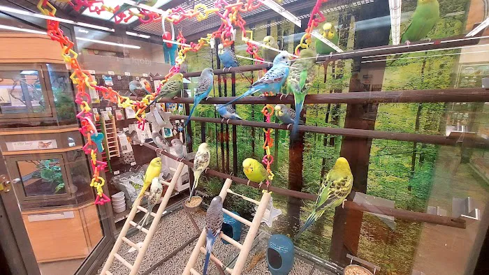 Petco Picture 7