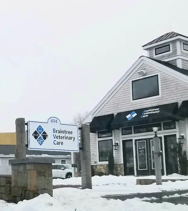 Braintree Veterinary Care Picture 3