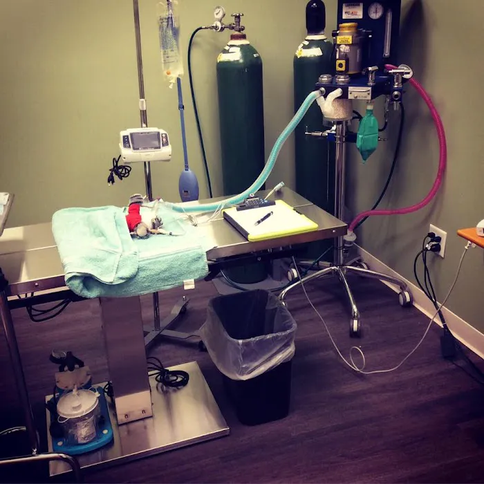 Braintree Veterinary Care Picture 4