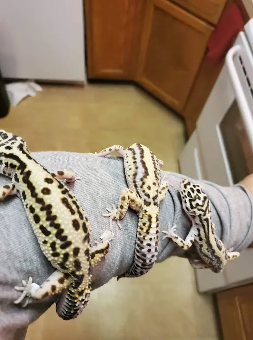 INDIANA REPTILE BREEDERS EXPO *once a month* Picture 1