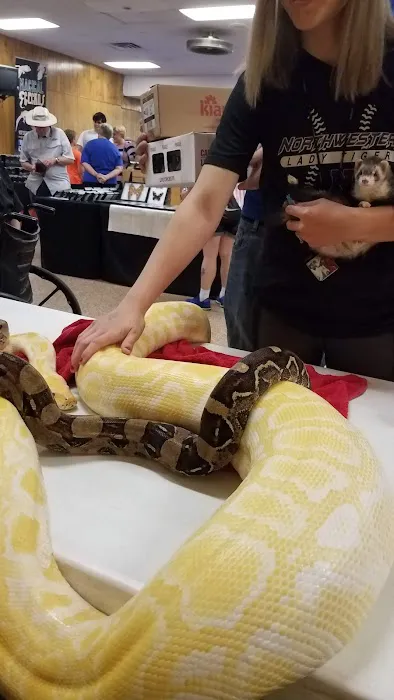 INDIANA REPTILE BREEDERS EXPO *once a month* Picture 8