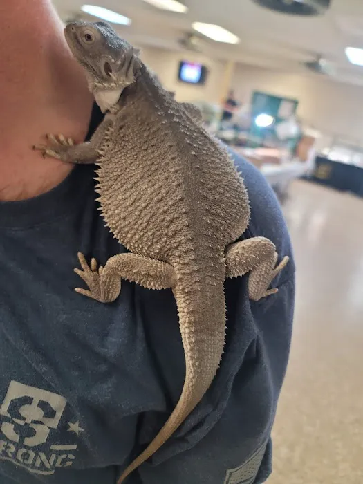INDIANA REPTILE BREEDERS EXPO *once a month* Picture 2