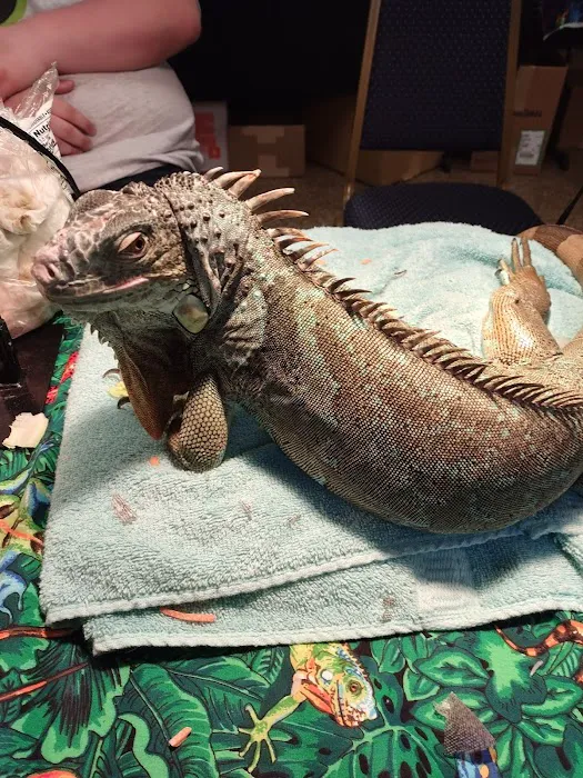 INDIANA REPTILE BREEDERS EXPO *once a month* Picture 9