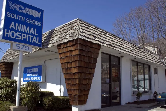 VCA South Shore Quincy Animal Hospital Picture 5