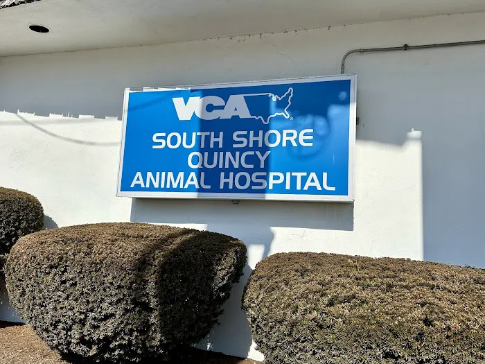 VCA South Shore Quincy Animal Hospital Picture 2