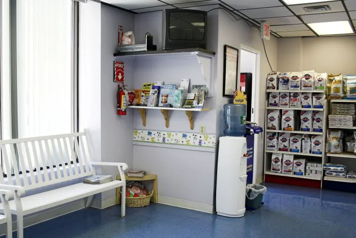 VCA South Shore Quincy Animal Hospital Picture 4